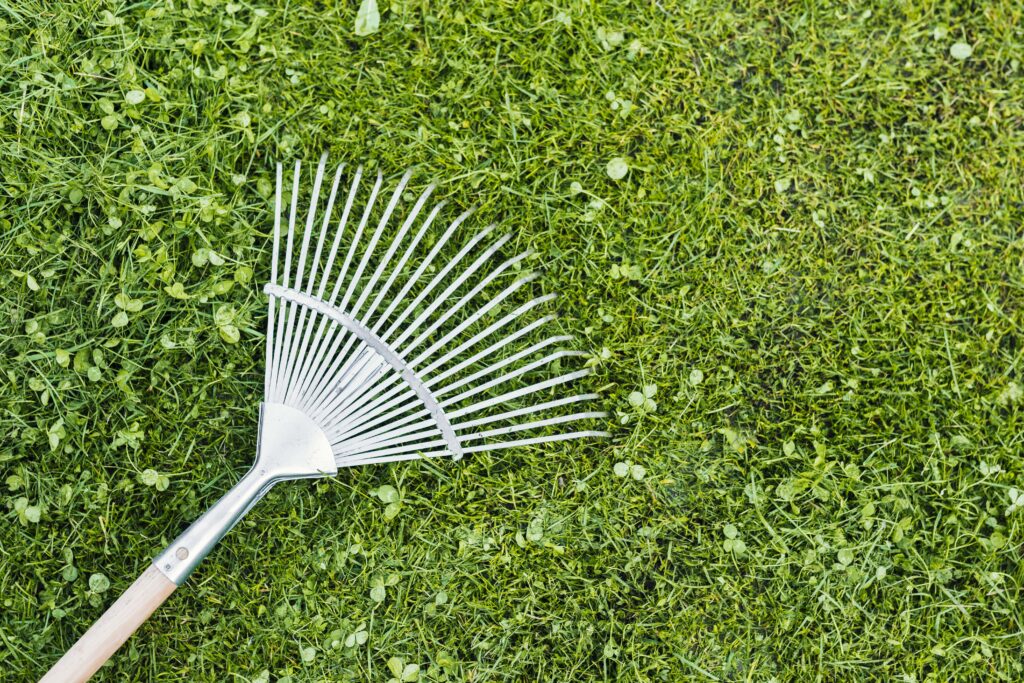 Es importante contratar una empresa especializada en el mantenimiento de patios pequeños