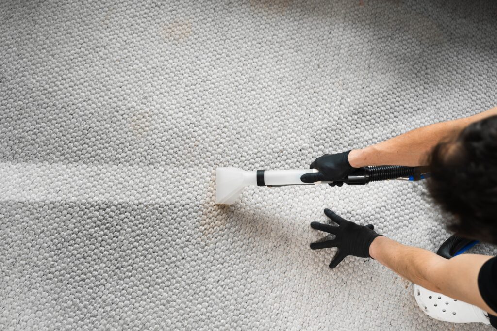 personal de limpieza profesional limpiando una alfombra de oficina